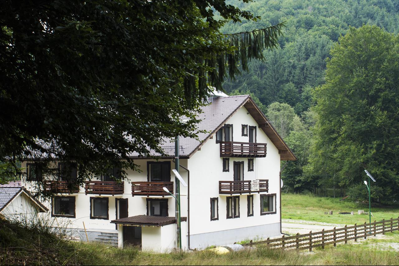 Cabana Barlogul Lupilor Villa Berevoesti Ngoại thất bức ảnh