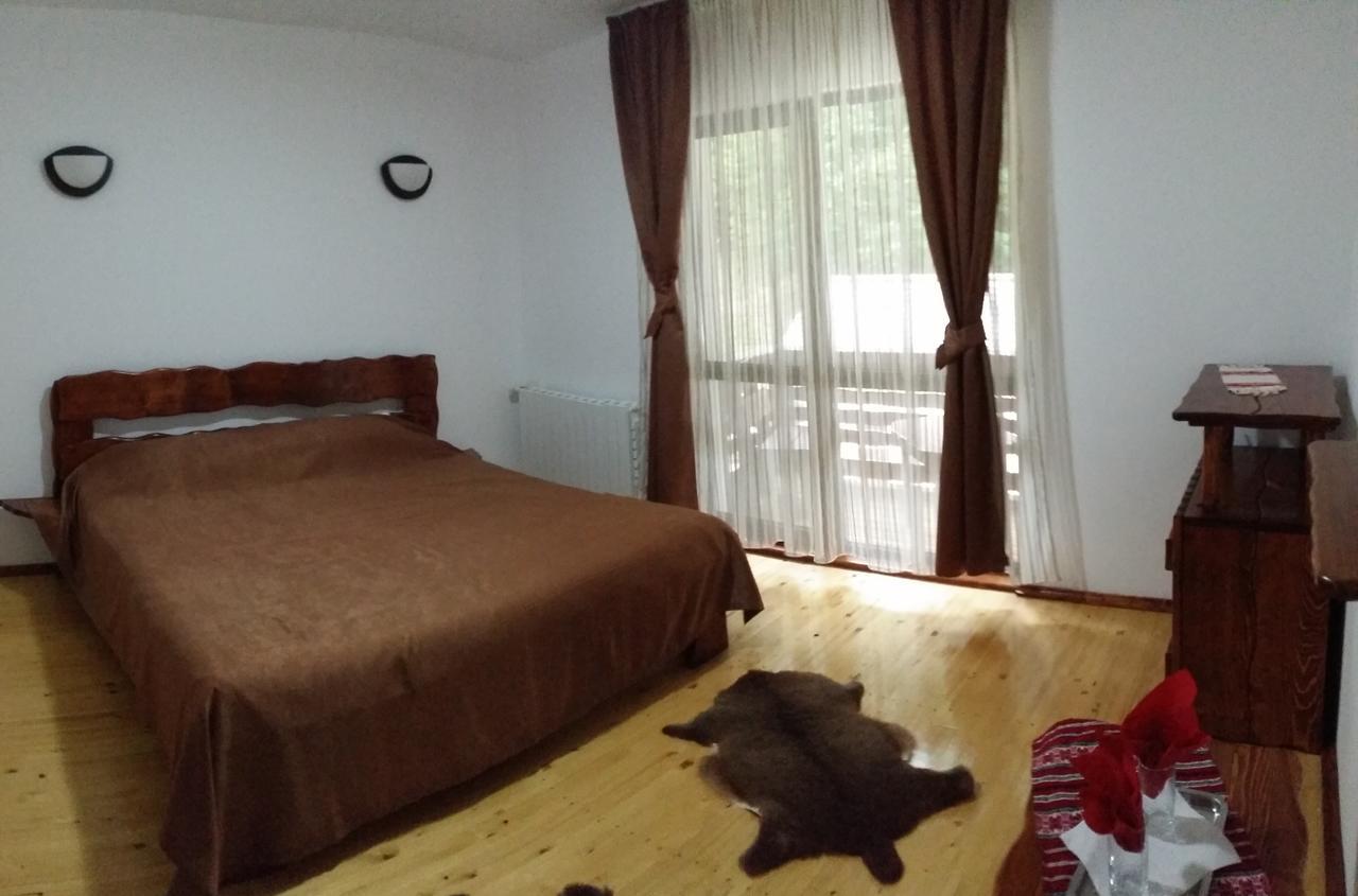 Cabana Barlogul Lupilor Villa Berevoesti Phòng bức ảnh